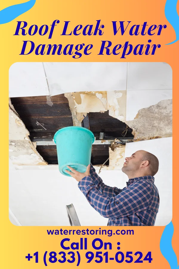 Roof Leak Water Damage Repair in Kickapoo Site 7, KS